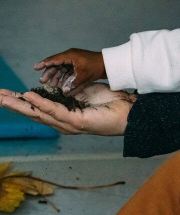 3e CARAVAN residentie in Villiers-le-Bel