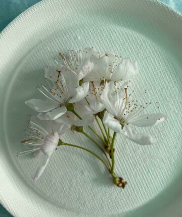 Nadenken over ‘Artistieke Bemiddeling’ in de Vroege Jaren